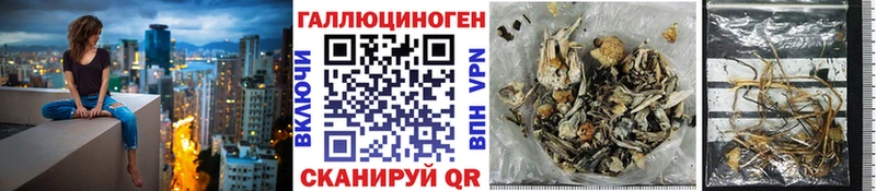 купить закладку  ссылка на мегу онион  Псилоцибиновые грибы прущие грибы  Катав-Ивановск 